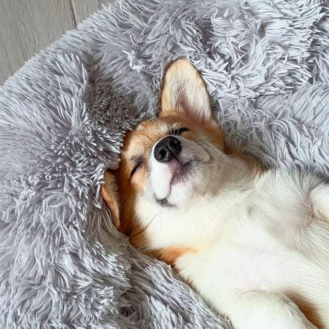 Dog Bed Orthopaedic Plush Round Calming Nest