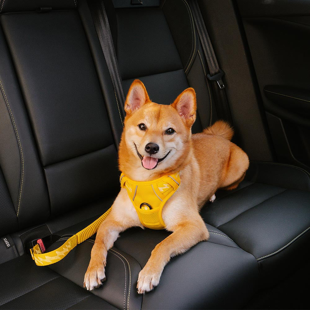 Dog Seat Belt with Adjustable Safety Strap