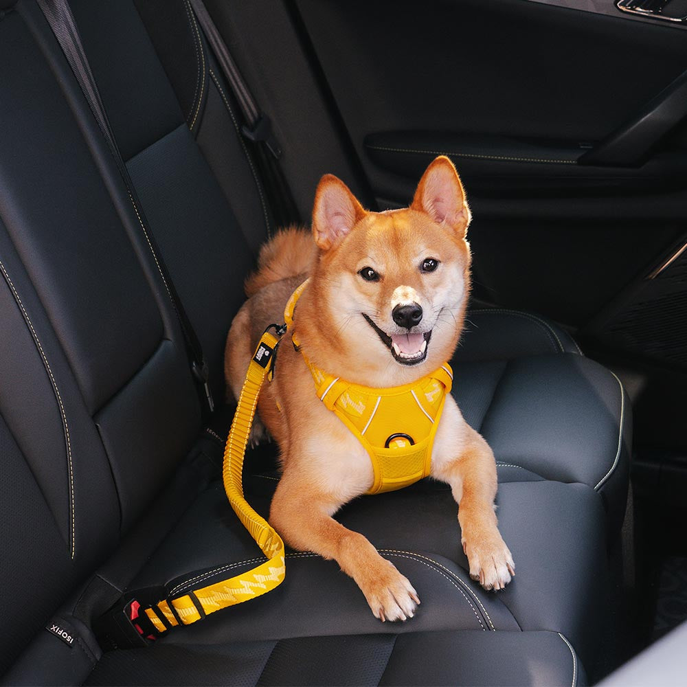 Dog Seat Belt with Adjustable Safety Strap