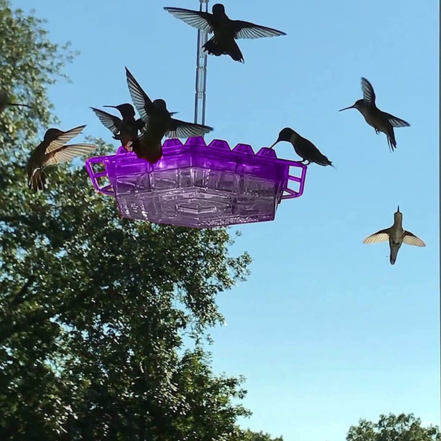 Hummingbird Feeder Red Plastic Hanging Bird Feeder