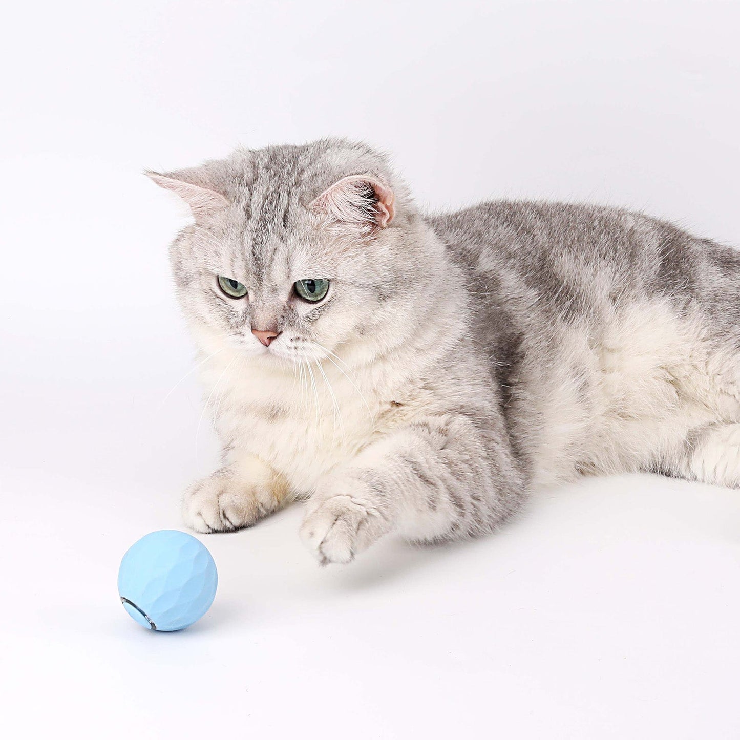 Cat Toy | Interactive Self-Rolling Ball