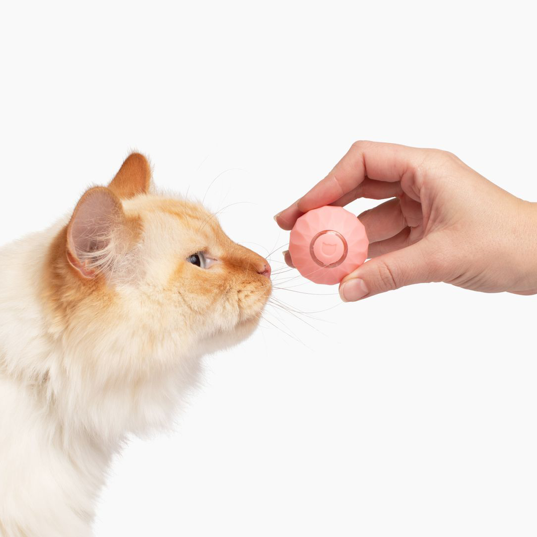 Cat Toy | Interactive Self-Rolling Ball