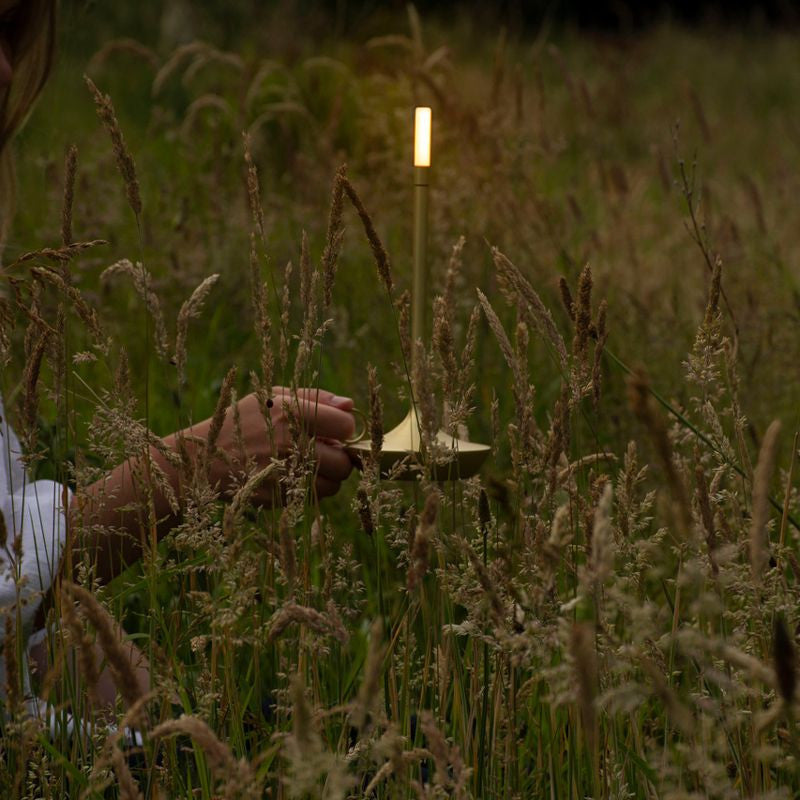 Table Lamp Brass Finish LED Rechargeable Light