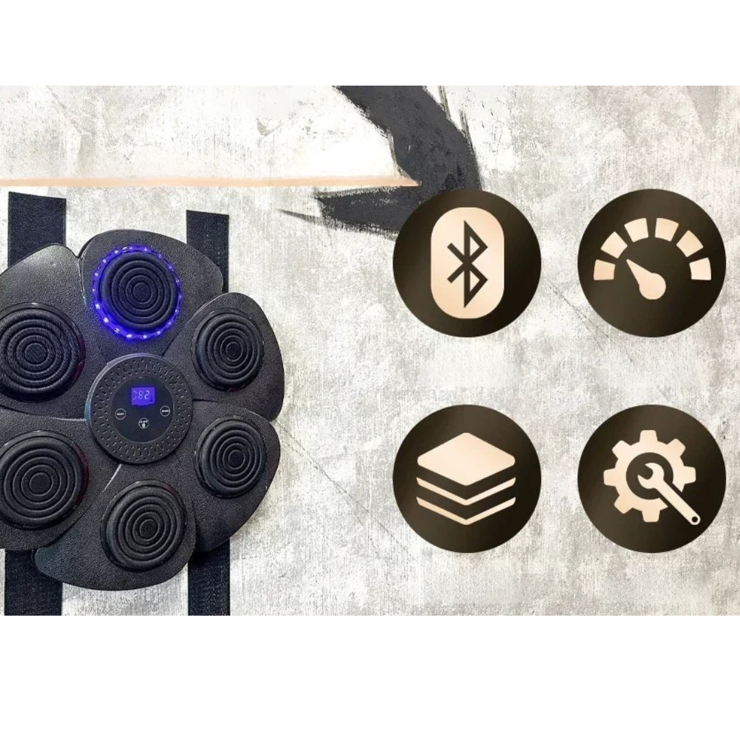 Home Boxing Wall Trainer with Bluetooth Music