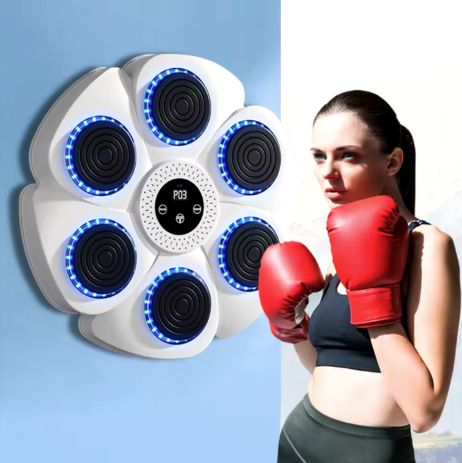 Home Boxing Wall Trainer with Bluetooth Music