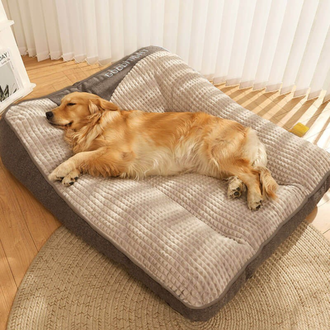 Orthopedic Dog Bed with Plush Support Cushion