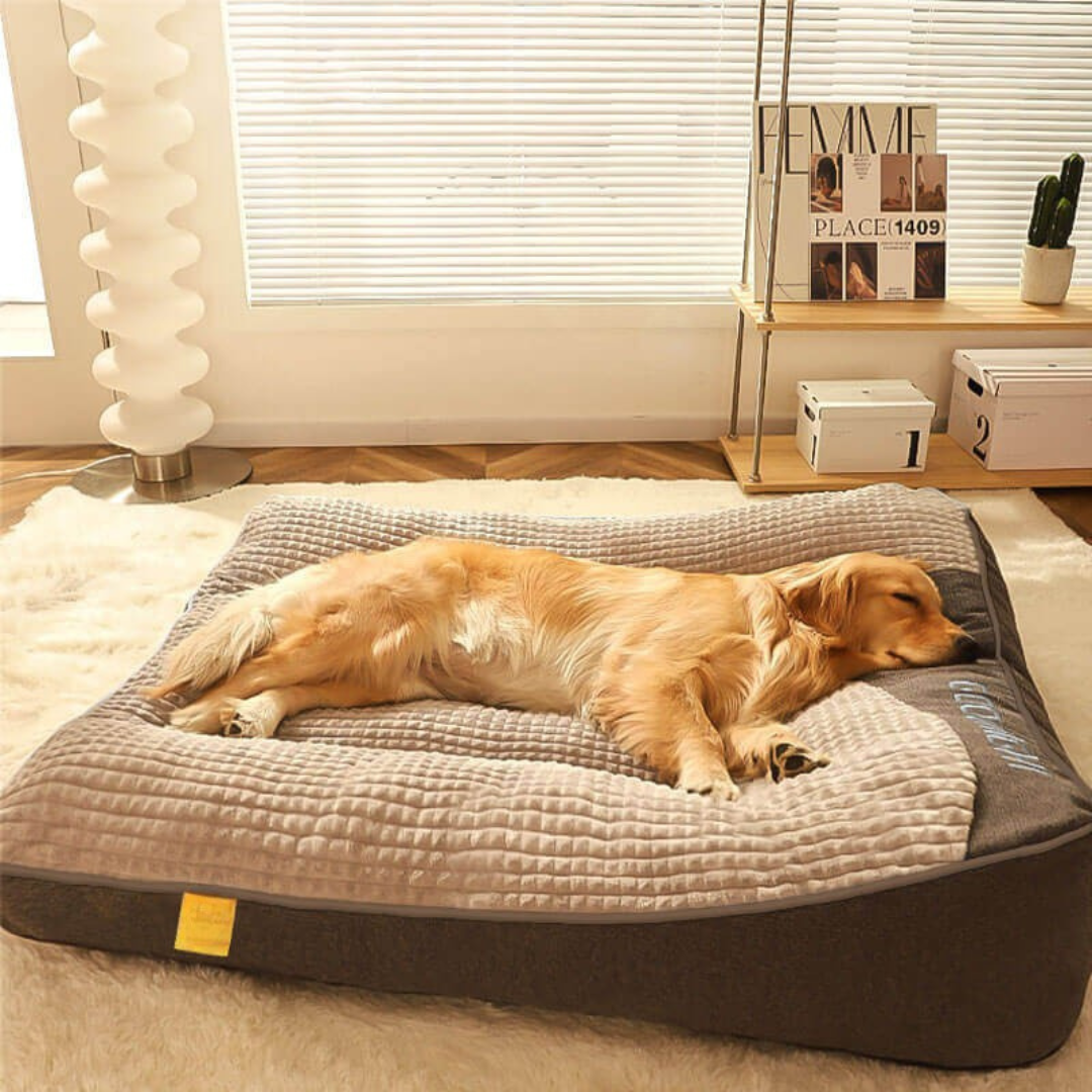 Orthopedic Dog Bed with Plush Support Cushion