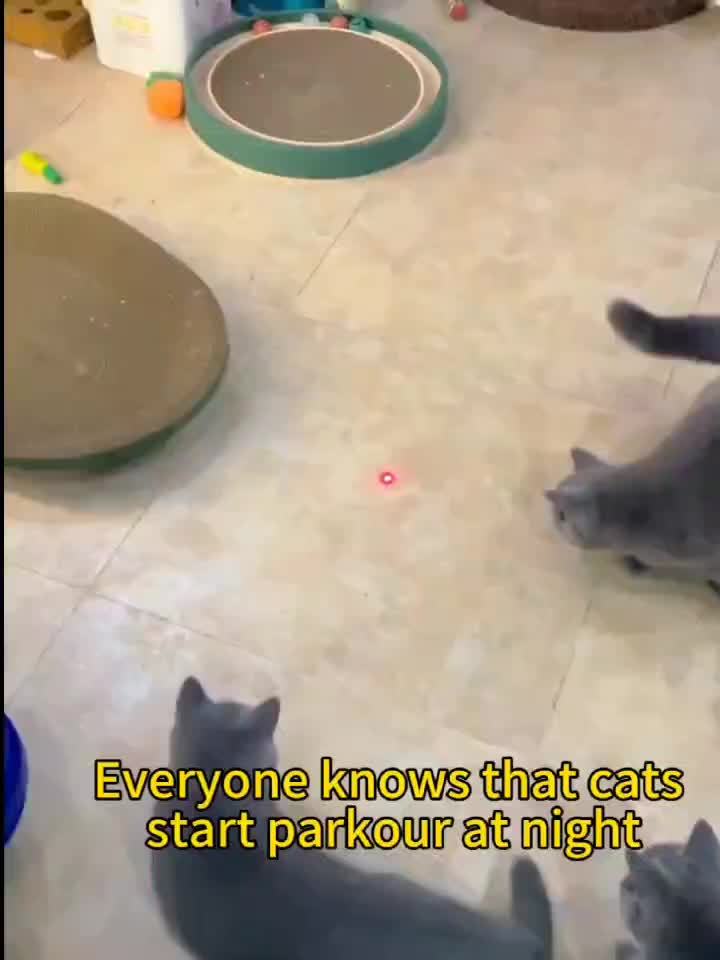 Cat Laser Toy Rechargeable Interactive Pet Teaser