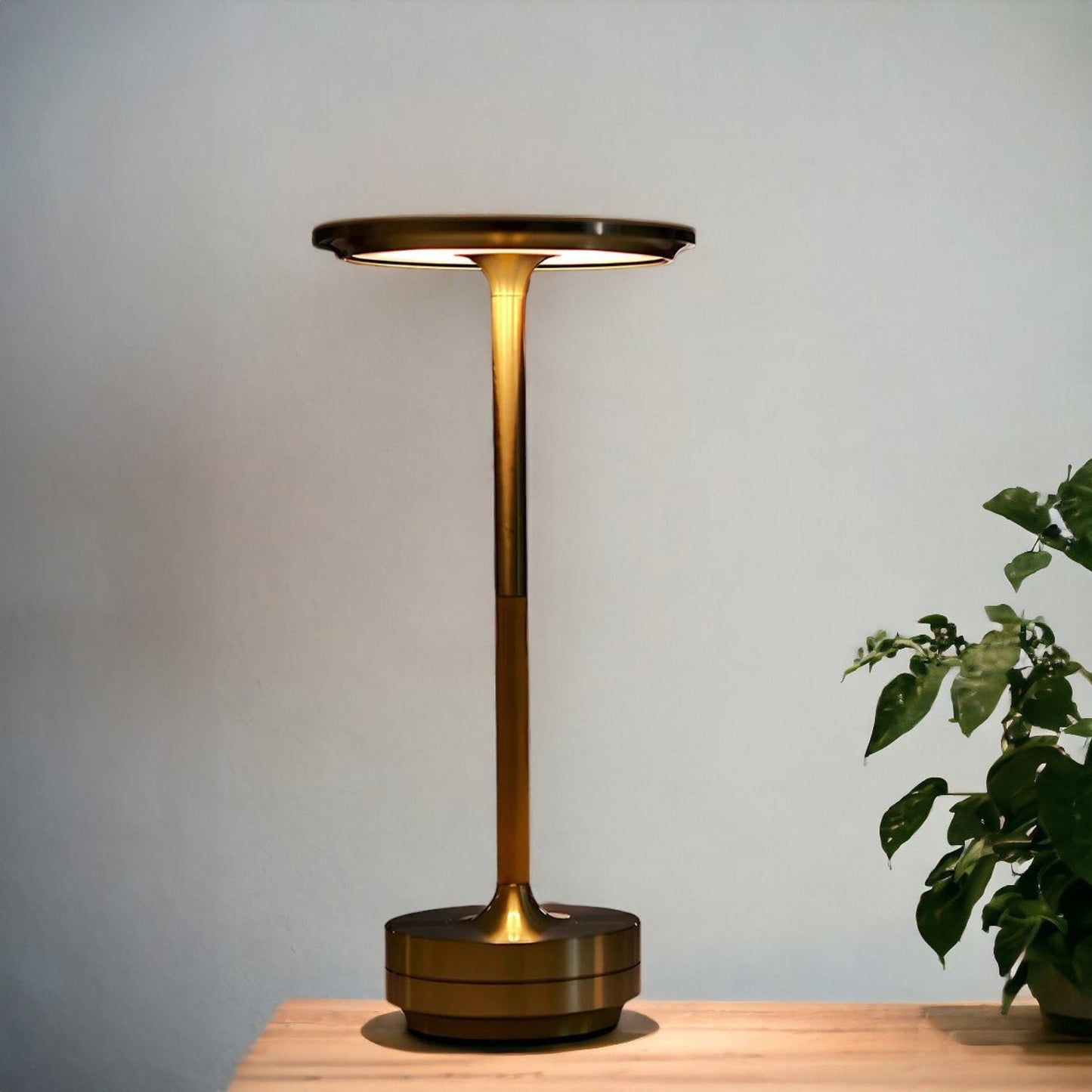 LED Table Lamp with Brass Touch Control