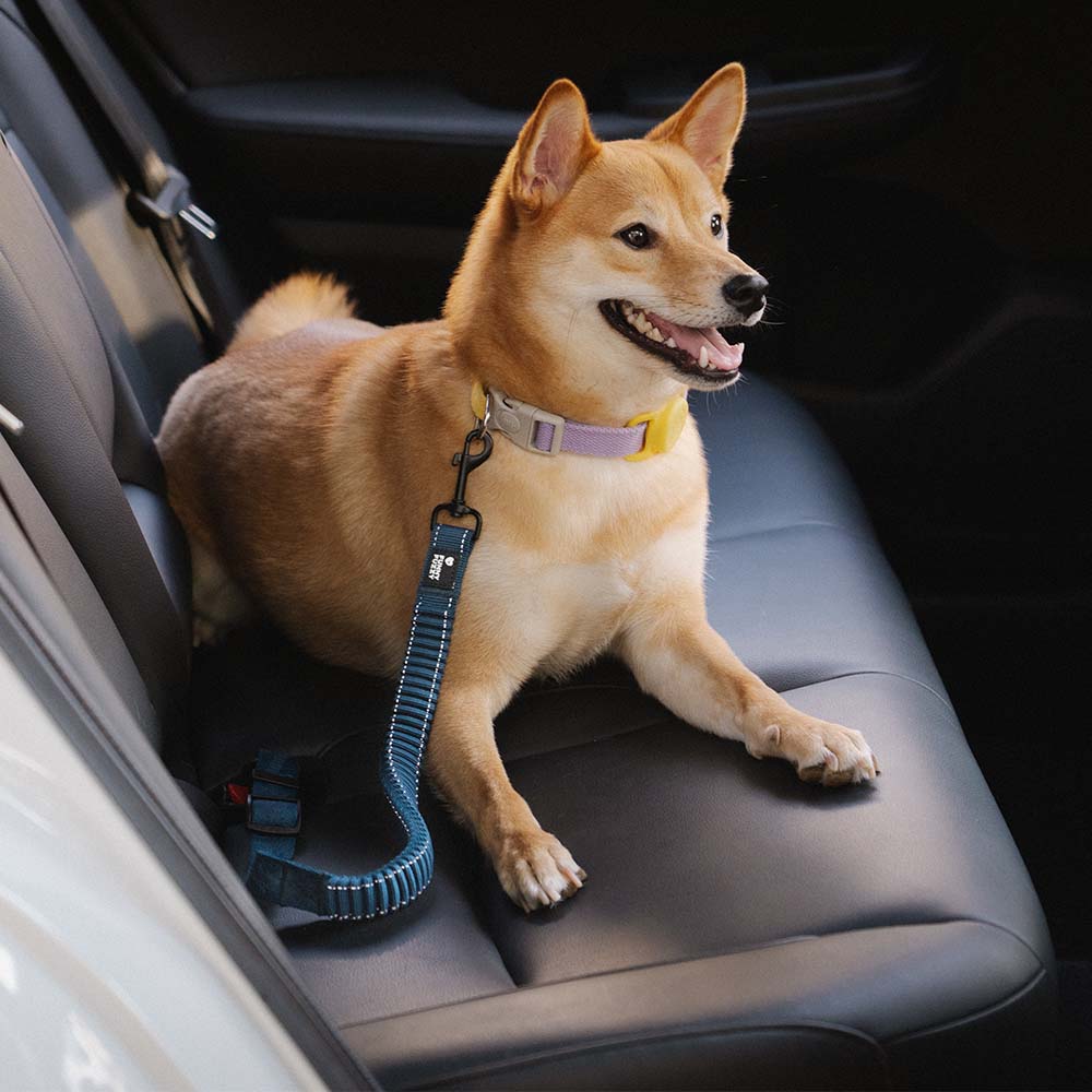 Dog Seat Belt with Adjustable Safety Strap