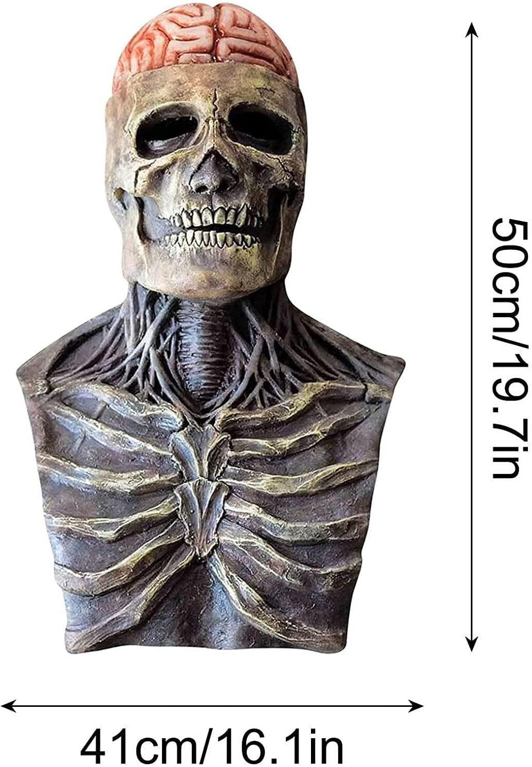 Halloween Skull Mask with Brain Detail