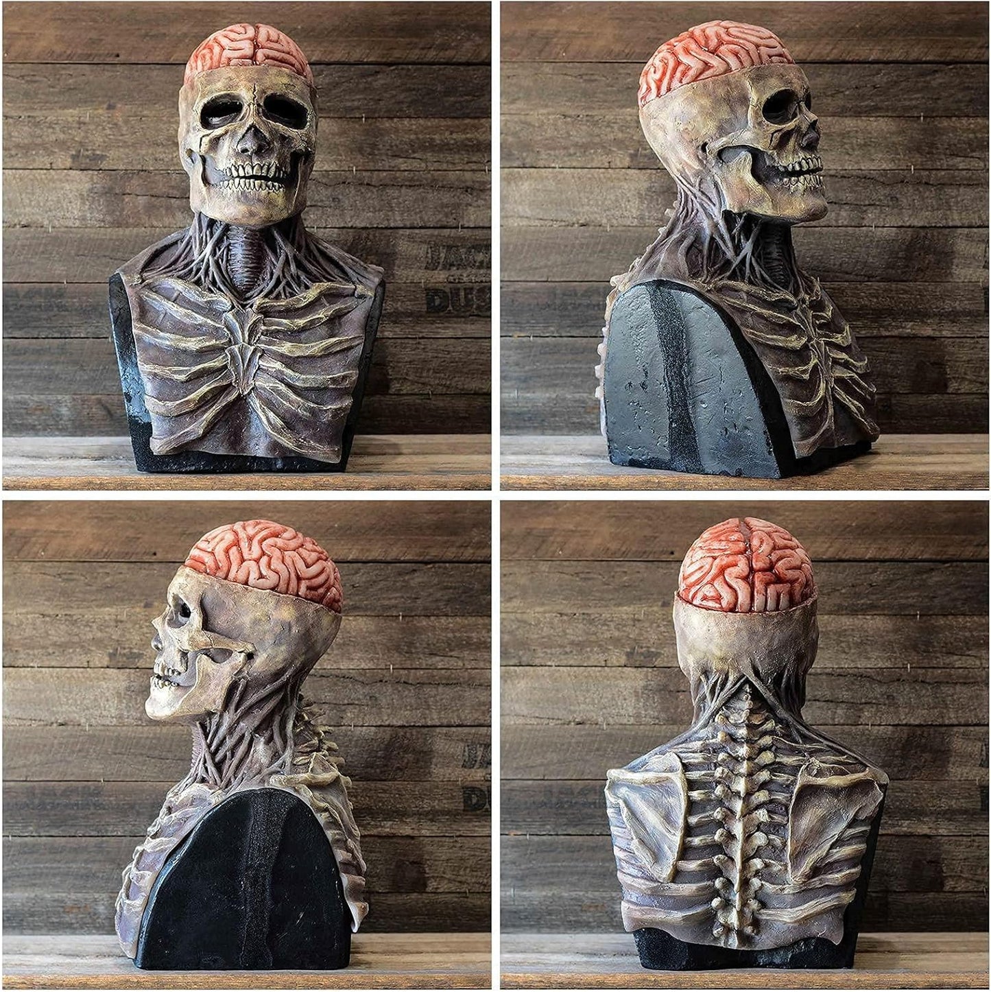 Halloween Skull Mask with Brain Detail