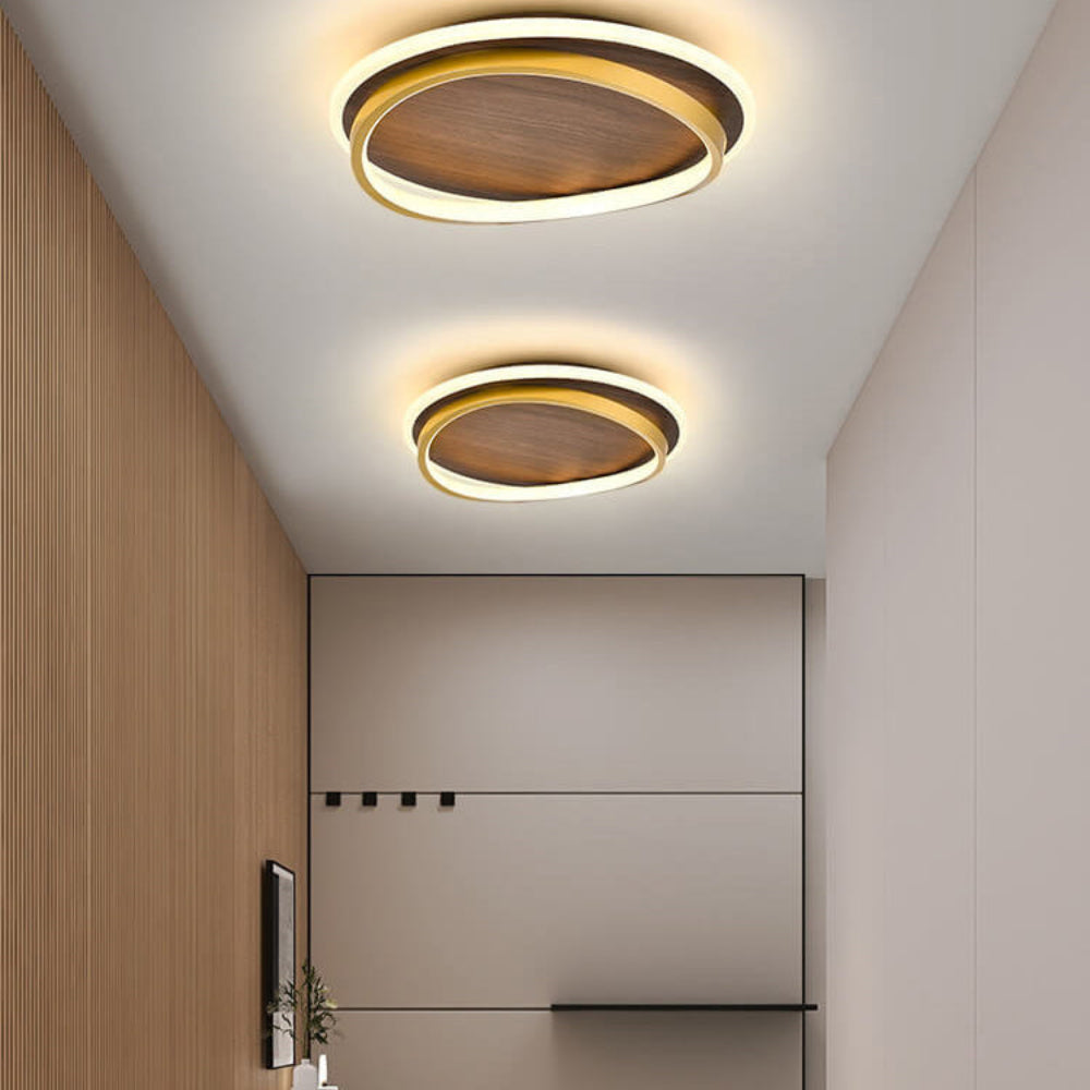 LED Ceiling Light Flush Mount Circular Modern Minimalist